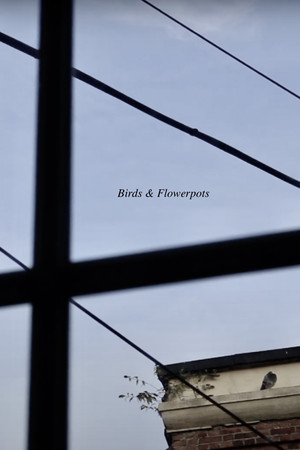 Birds & Flowerpots