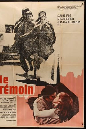 The Witness The Witness