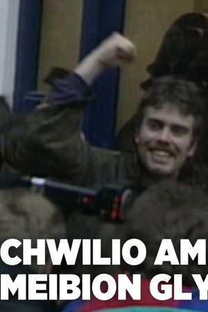 Bryn Fon: Search for the Sons of Glyndwr Bryn Fon: Search for the Sons of Glyndwr