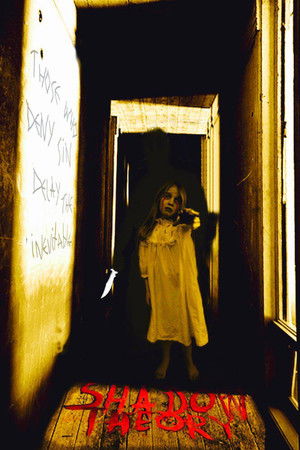 Shadow Theory Shadow Theory