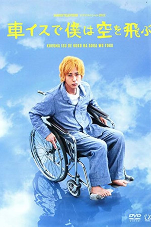 I Will Fly to the Sky on a Wheelchair