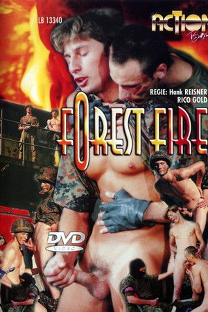 Forest Fire Forest Fire