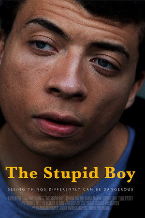 The Stupid Boy