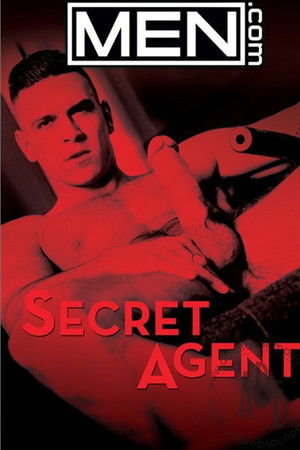 Secret Agent Secret Agent