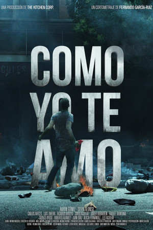 The Way I Love You The Way I Love You