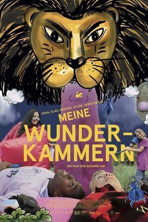 Cabinets of Wonder Cabinets of Wonder