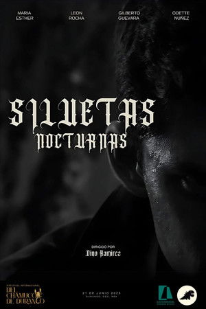 SILUETAS NOCTURNAS