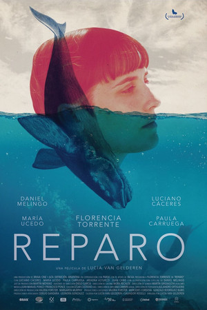 Reparo