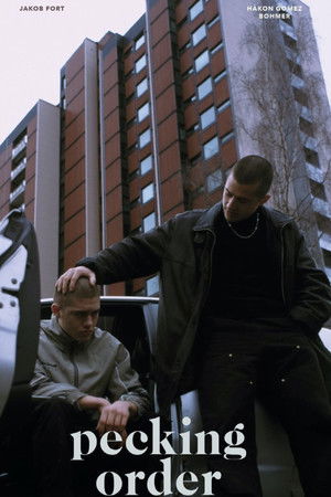 Pecking Order Pecking Order