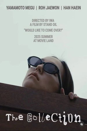 The Collection The Collection