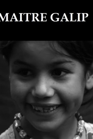 Maître Galip Maître Galip