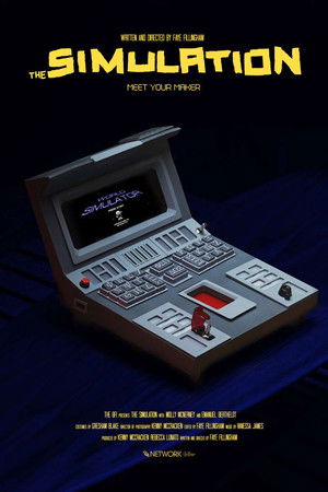 The Simulation The Simulation