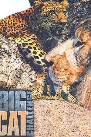 Big Cat Challenge Big Cat Challenge