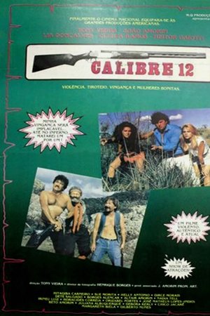 Calibre 12