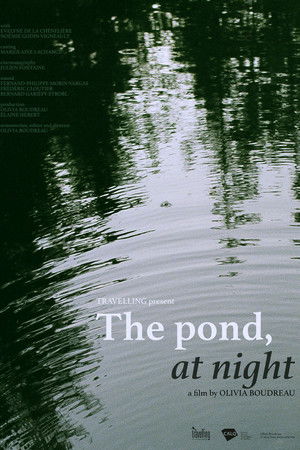 The Pond, at Night