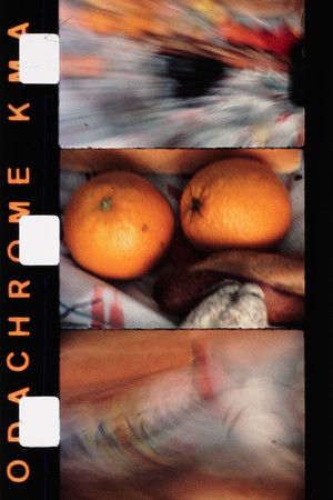 Une partie de campagne Une partie de campagne