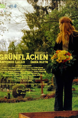 Grünflächen Grünflächen