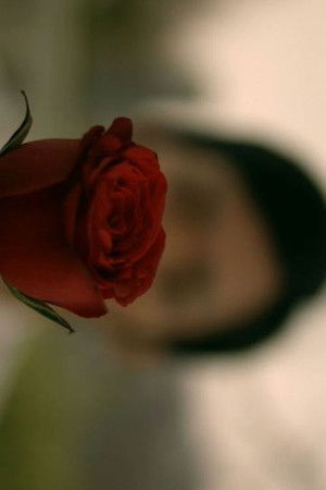 Silly Talk Silly Talk