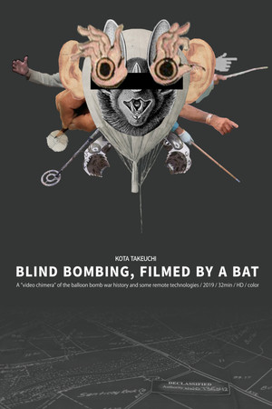 Blind Bombing, Filmed by a Bat Blind Bombing, Filmed by a Bat