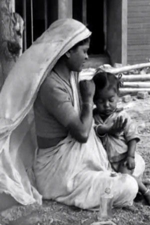 A Day with the Builders