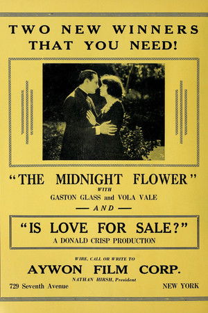 The Midnight Flower