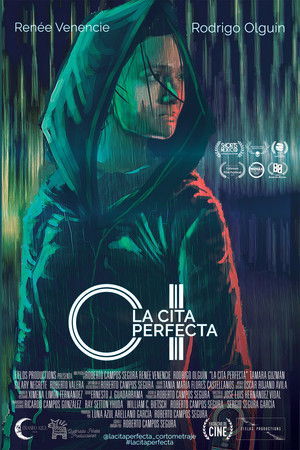 The Perfect Date The Perfect Date