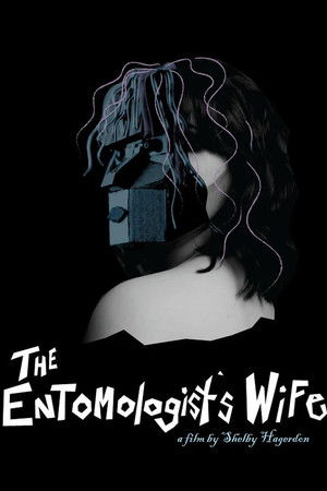 The Entomologist's Wife The Entomologist's Wife