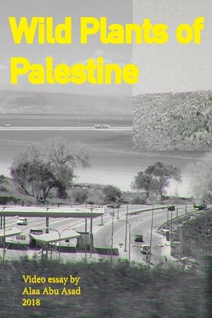 Wild Plants of Palestine
