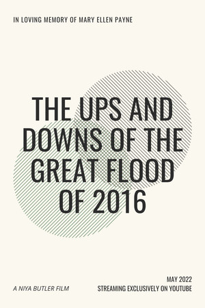 The Ups and Downs of the Great Flood of 2016