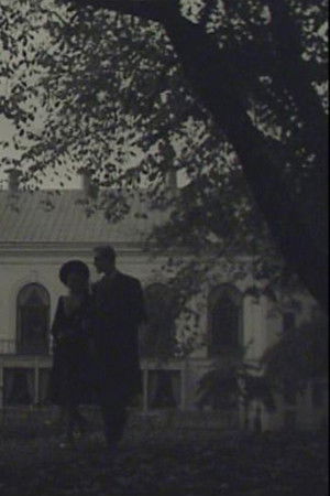 A Stockholm Silhouette A Stockholm Silhouette