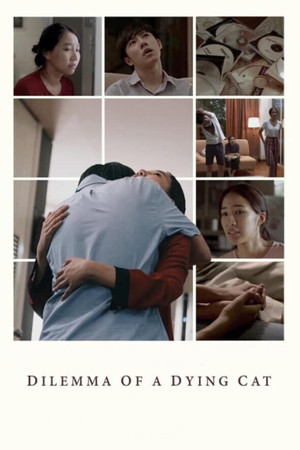 Dilemma Of A Dying Cat Dilemma Of A Dying Cat