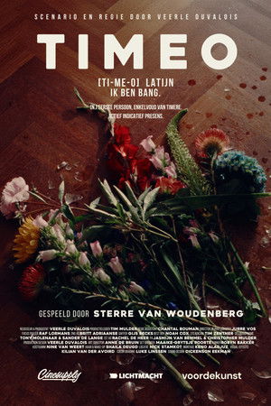 Timeo Timeo