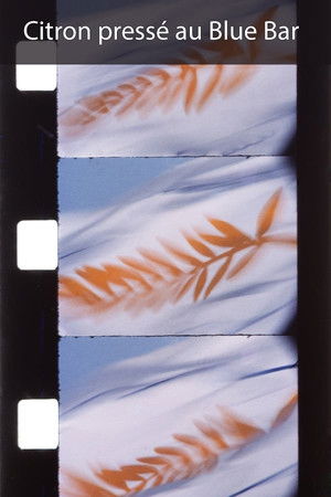 Citron pressé au Blue Bar Citron pressé au Blue Bar