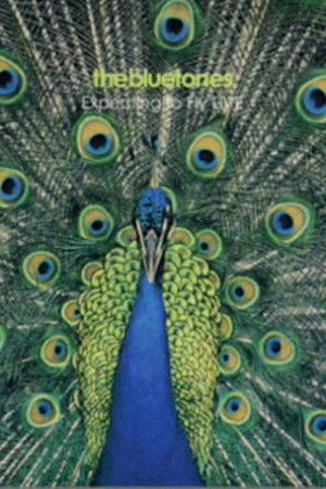 The Bluetones: Expecting To Fly Live