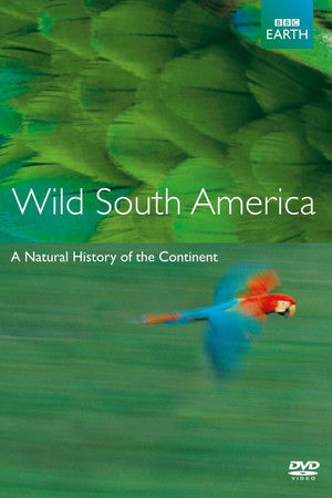 Andes to Amazon Andes to Amazon