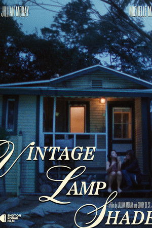 Vintage Lamp Shade Vintage Lamp Shade