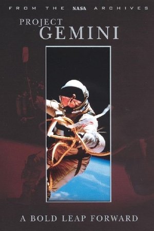 Project Gemini: A Bold Leap Forward Project Gemini: A Bold Leap Forward