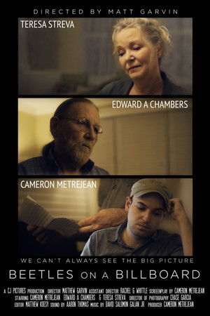 Beetles on a Billboard Beetles on a Billboard