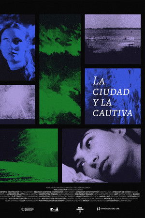 The city and the captive The city and the captive