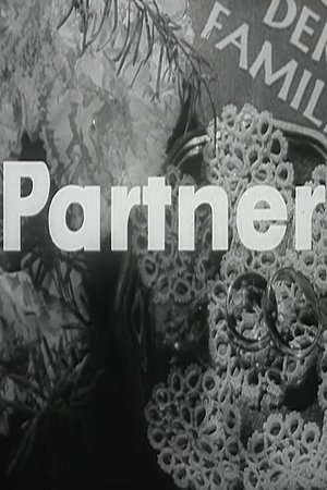 Partner Partner