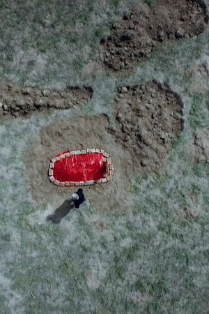 The grave under the plum tree The grave under the plum tree