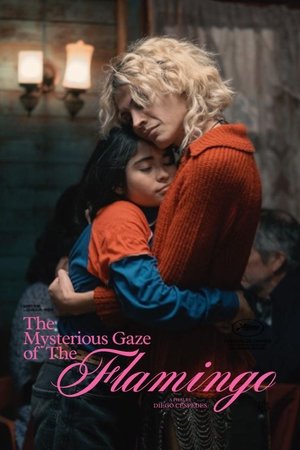 The Mysterious Gaze of the Flamingo