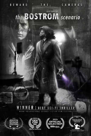 The Bostrom Scenario The Bostrom Scenario