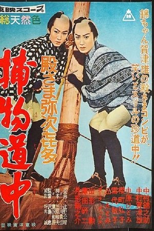 Diary of a Wandering Lord Diary of a Wandering Lord