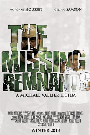 The Missing Remnants