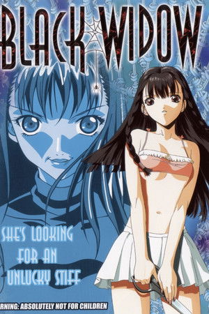 Black Widow Black Widow