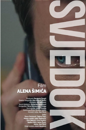 The Witness The Witness