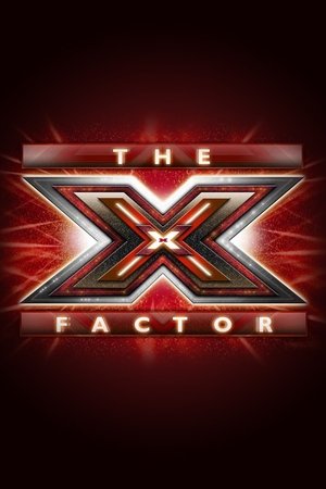 The X Factor The X Factor