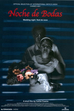 Wedding Night Wedding Night