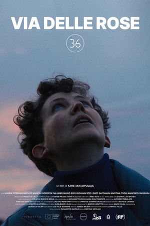 Via Delle Rose 36 Via Delle Rose 36